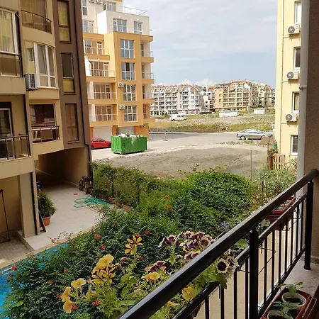 Black Sea * פומורי